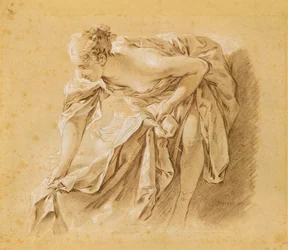 Femme partiellement nue se baignant